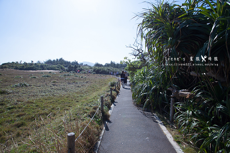 【沖繩－景點】如象鼻的珊瑚礁懸崖，一望無際的美麗大海/沖繩著名景點．萬座毛