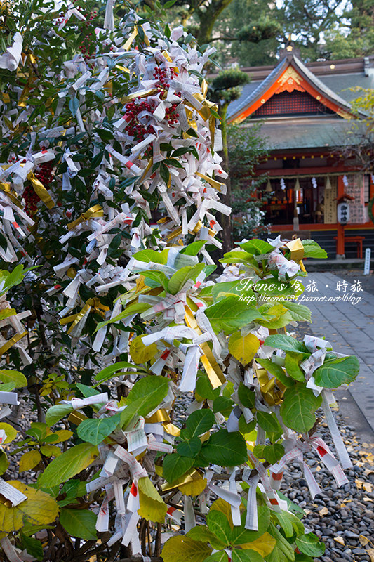 【熊本－景點】不在既定行程中的發現，獨享清幽寧靜的神社之美．熊本 手取天滿宮