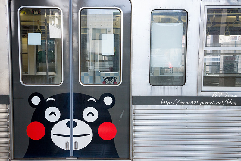 【九州熊本】不定時出現的神秘KUMAMON電車