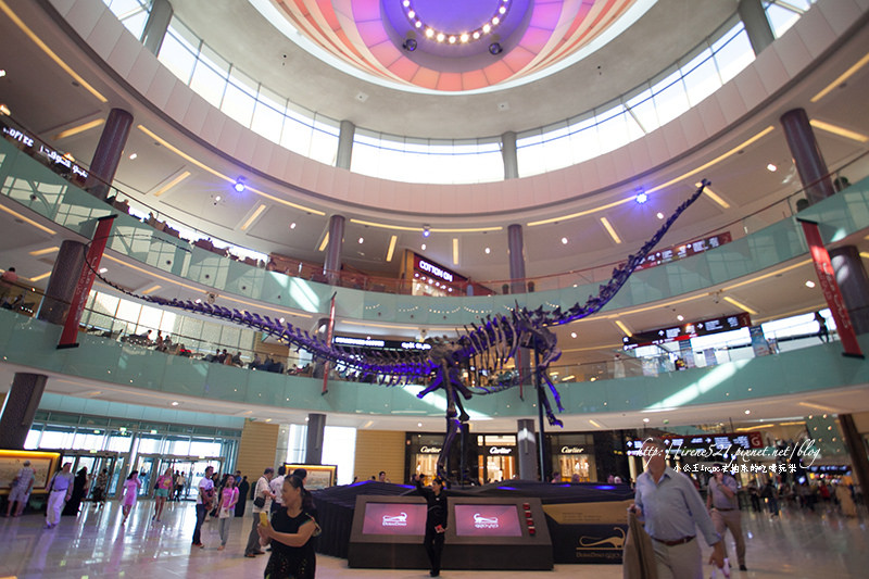 【杜拜】shopping mall裡面有鯊魚！杜拜購物中心Dubai Mall