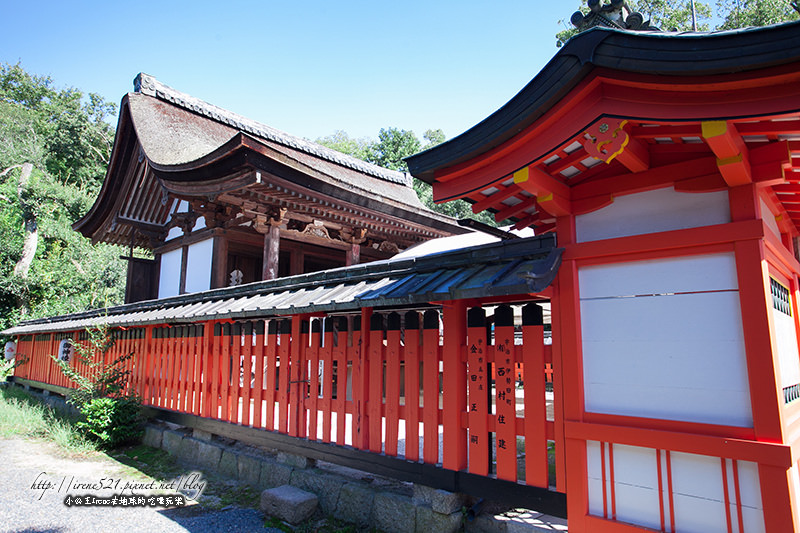 【京都．宇治】世界文化遺產．宇治神社
