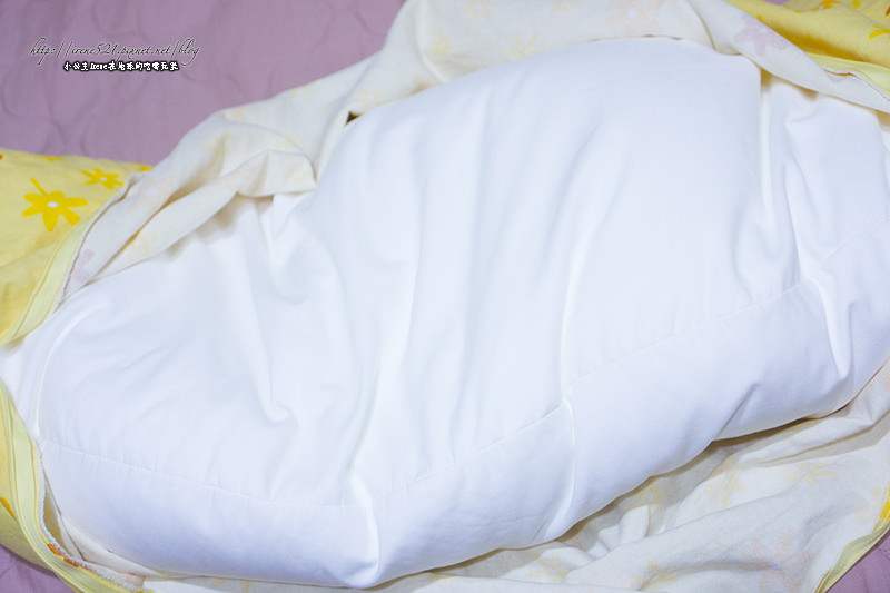 【孕-物品】孕期好物，老公也搶著用的「德國Theraline孕哺兩用月亮枕」