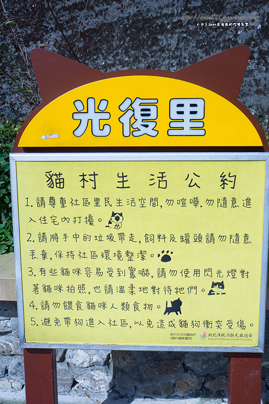 【侯硐】等不到貓公車的再訪貓村，與貓咪們來場約會吧