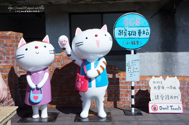 【侯硐】等不到貓公車的再訪貓村，與貓咪們來場約會吧