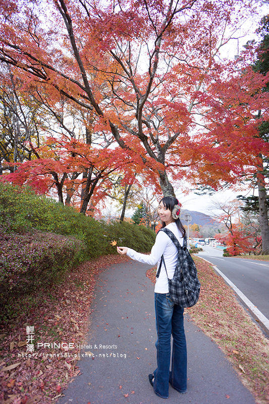 【輕井澤】楓紅片片，散步於楓葉小道中．輕井澤王子大飯店