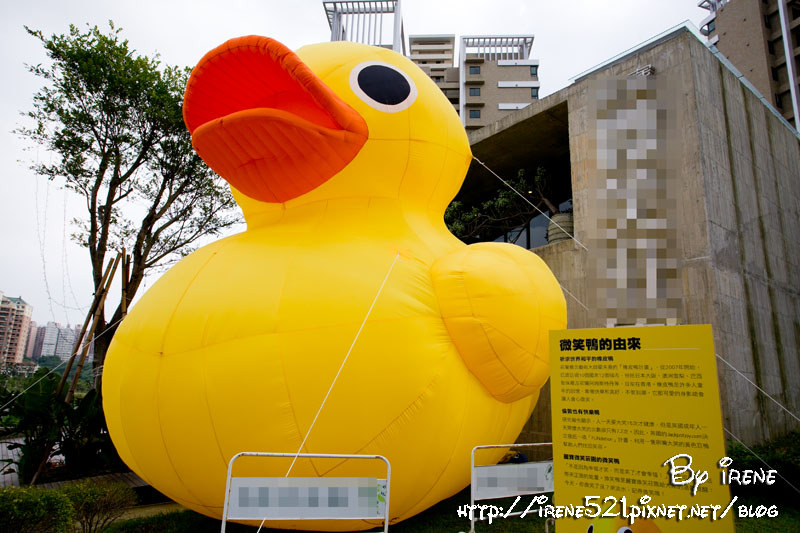 13.05.26-淡水麗寶-黃色小鴨