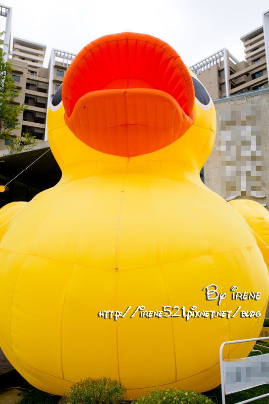 13.05.26-淡水麗寶-黃色小鴨