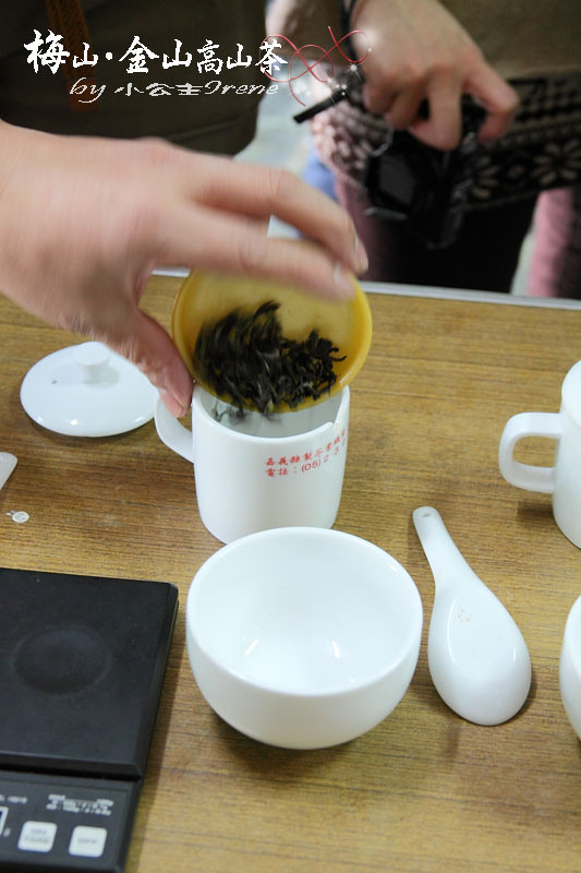 【嘉義梅山】茶香滿屋．金山高山茶