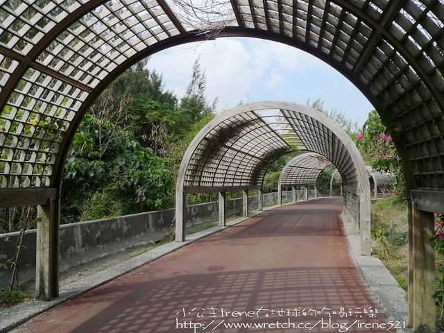 2010台東之旅－原始自然的大森林．台東森林公園