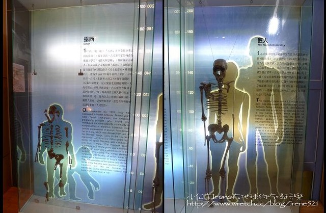2010台東之旅－Day2‧國立臺灣史前文化博物館