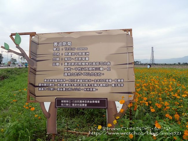 2010台東之旅－Day1‧舞鶴北迴歸線+台東花海