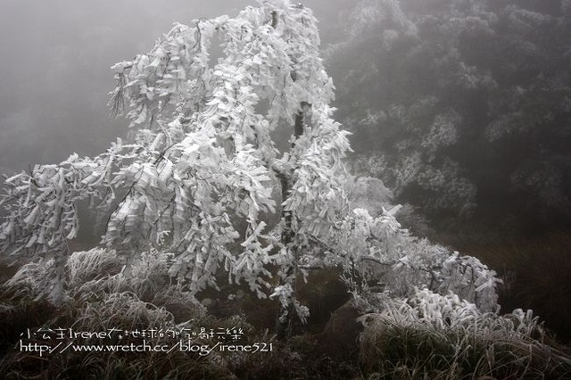 台中－凄冷的白色世界‧南湖大山登山口