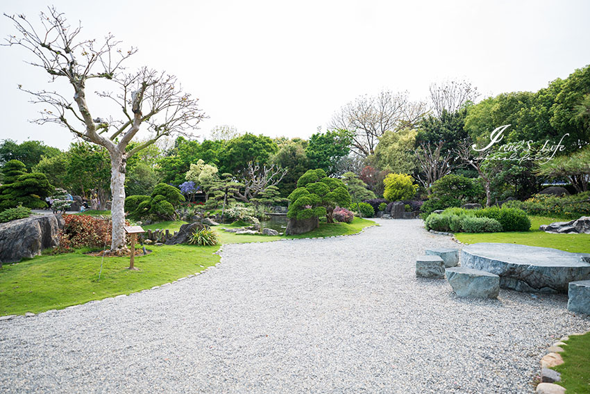 彰化景點｜偽出國遊日本，台版兼六園讓人宛如置身日本庭園，相機快門沒停過，超美超好拍