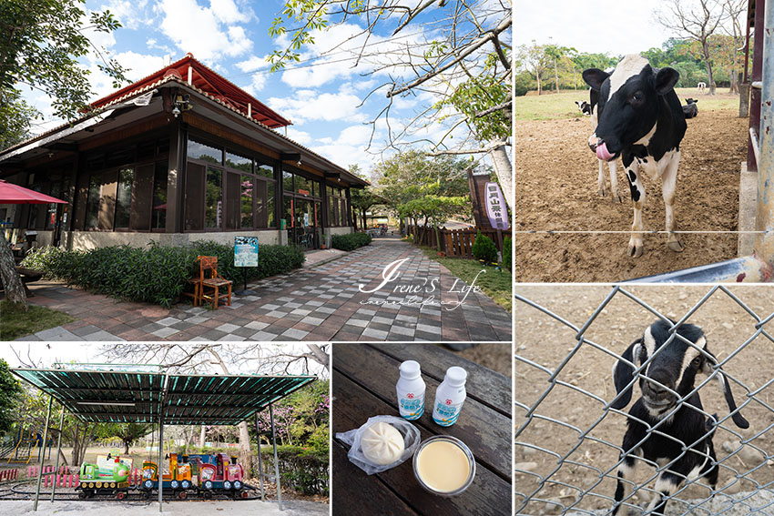 彰化免費親子景點｜看牛、餵羊、坐小火車，還有各式鮮奶製品・日月山景休閒農場 @Irene&#039;s 食旅．時旅