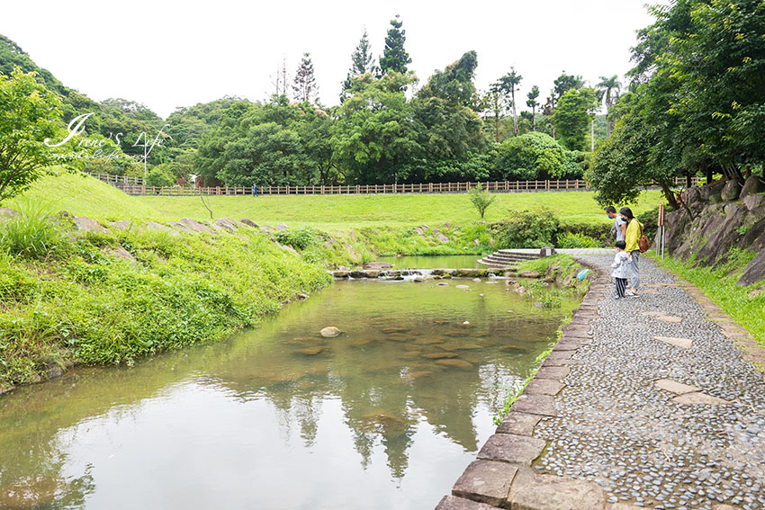 近大湖公園的台北親子步道，可玩水、輕鬆好走、沿途綠蔭遮蔽，還有季節限定的花海