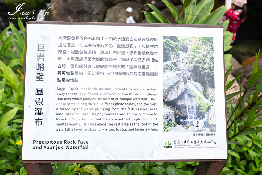近大湖公園的台北親子步道，可玩水、輕鬆好走、沿途綠蔭遮蔽，還有季節限定的花海