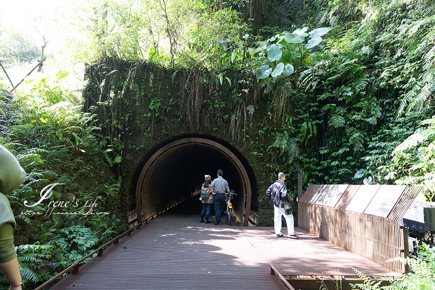 新北秘境，網路預約才能參觀的隧道自行車道，必拍鏡面水池，慢走參觀隧道內的鐘乳石跟蝙蝠