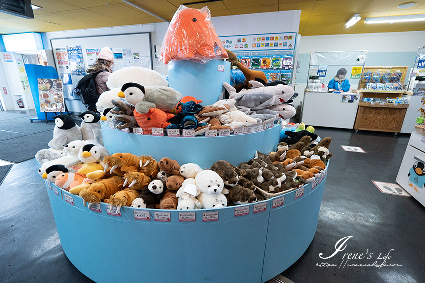 北海道最大的水族館，冬季必訪小樽水族館，超萌的企鵝走路距離超近，海獅海豚表演很精彩