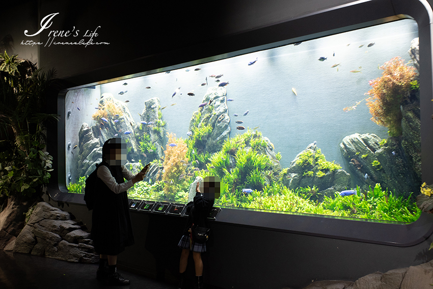 距離那霸市區最近的水族館，透明地板低頭就能看到魚群！還可體驗樹懶、海龜、企鵝近距離餵食